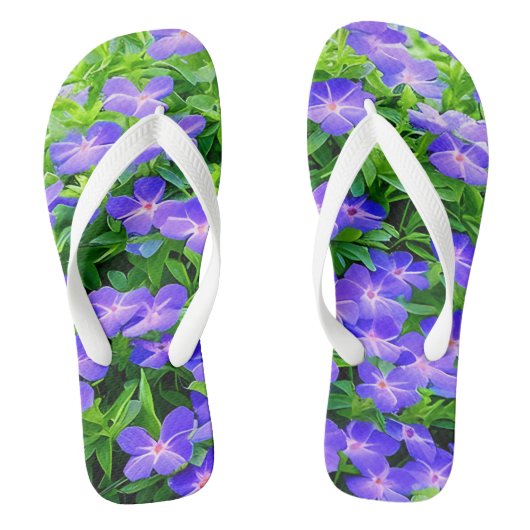 Drummond's clematis - een schattige kleine blauwe teenslippers (Voetbed)