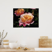 Drums Shrub Roos 143 Poster (Keuken)