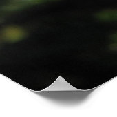 Drums Shrub Roos 143 Poster (Hoek)