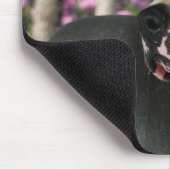 druoling American Bulldog Muismat (Hoek)