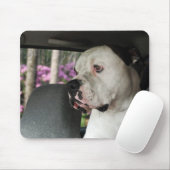 druoling American Bulldog Muismat (Met muis)