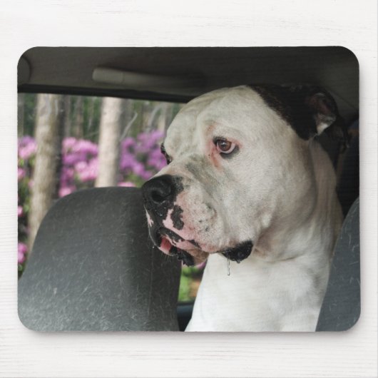 druoling American Bulldog Muismat (Voorkant)