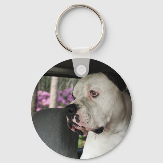 druoling American Bulldog Sleutelhanger (Voorkant)
