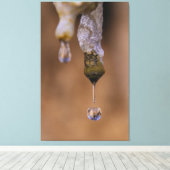 druppel canvas afdruk (Insitu (Houten vloer))