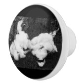 druppel keramische knop (Rechts)