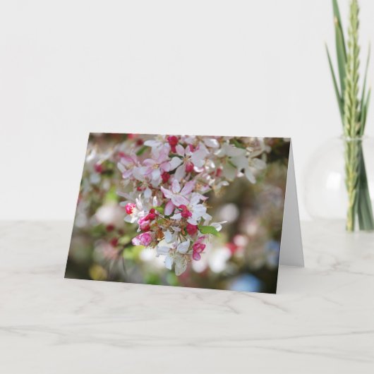 druppel van een witte kaart van schoonheid (Voorkant)