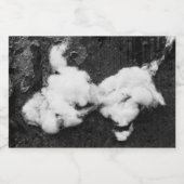 druppel voedselcontainer etiket (Enkel label)