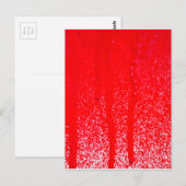 druppelbloed briefkaart (Voorkant / Achterkant)