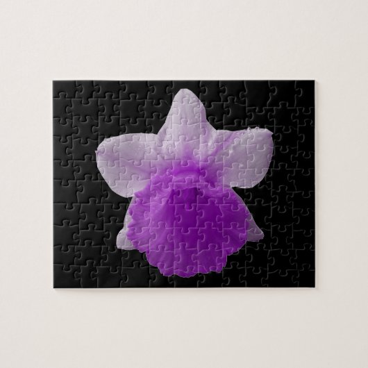 Druppelende narcis paarse puzzel (Horizontaal)