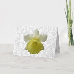 Druppelende Narcis Wenskaart Kaart