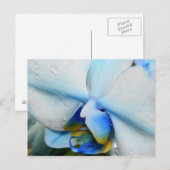 Druppels op blauwe orchidee - briefkaart (Voorkant / Achterkant)