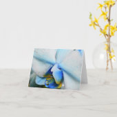 Druppels op blauwe orchidee kaart (Gele Bloem)