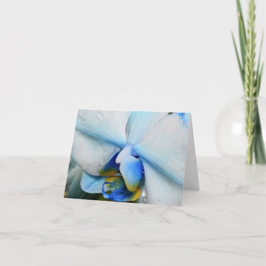 Druppels op blauwe orchidee kaart (Voorkant)