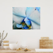 Druppels op blauwe orchidee poster (Keuken)