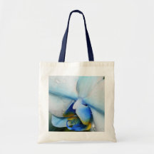 Druppels op blauwe orchidee