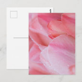 Druppels op roze tulpen dicht briefkaart (Voorkant / Achterkant)