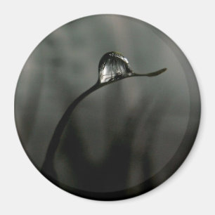 druppeltje magneet