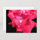 Druppeltjes op Briefkaart voor flesjes (Voorkant / Achterkant)