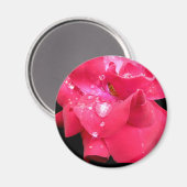 Druppeltjes op flesjes Magnet (Voorkant / Achterkant)