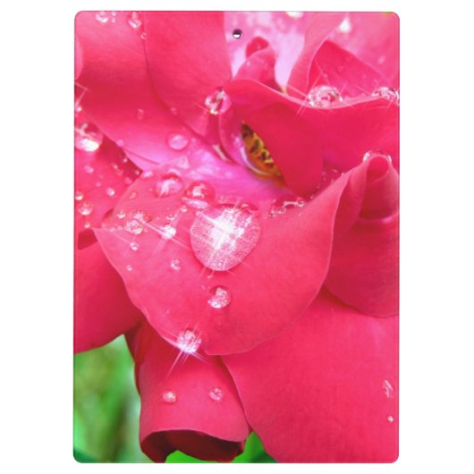 Druppeltjes op het klembord van Petals (Achterkant)