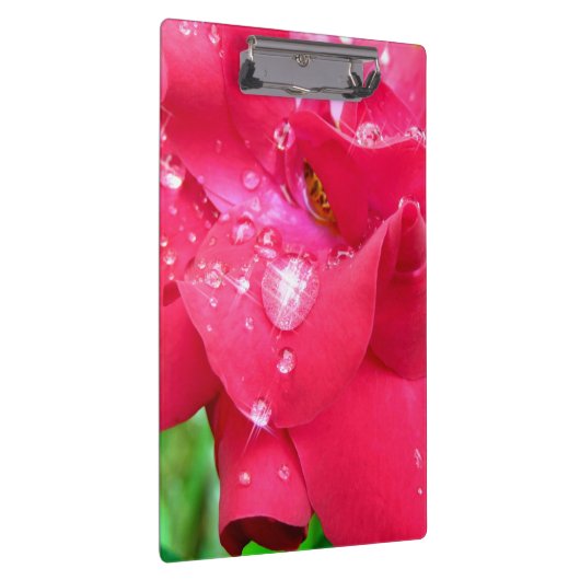 Druppeltjes op het klembord van Petals (Rechts)