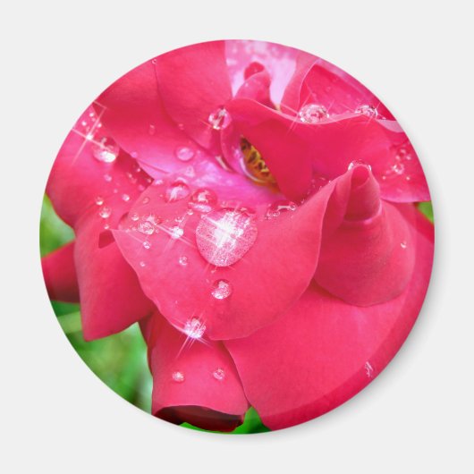 Druppeltjes op Petals Fridge Magnet (Voorkant)