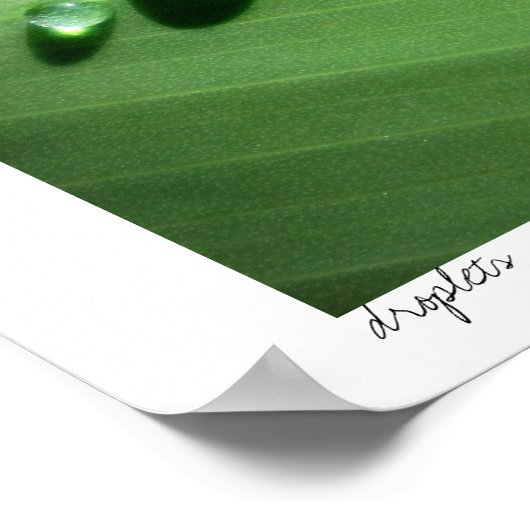 druppeltjes poster (Hoek)