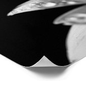 druppeltjes (zwart en wit) poster (Hoek)