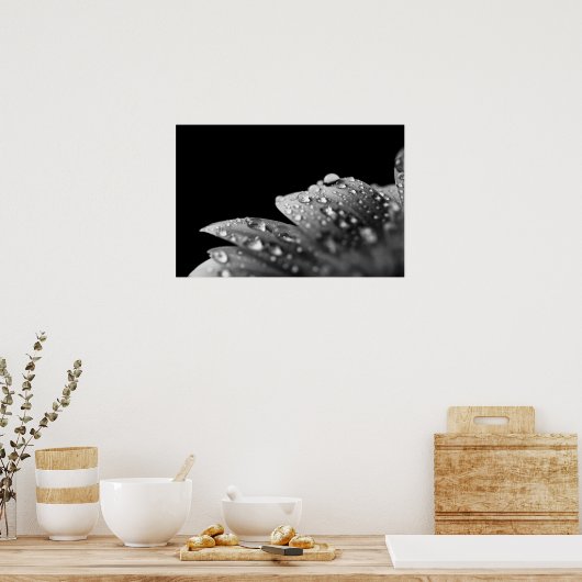 druppeltjes (zwart en wit) poster (Keuken)