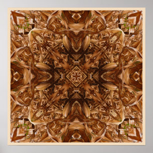 Dry Corn Husks Abstract 16 Poster