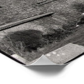 Dry Dock in Dorset Poster (Hoek)