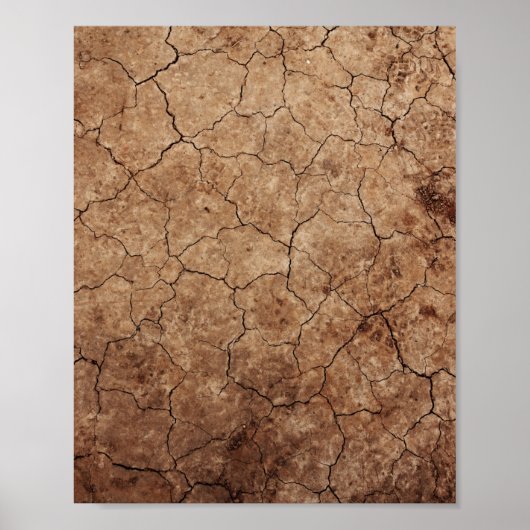 Dry Earth Poster (Voorkant)