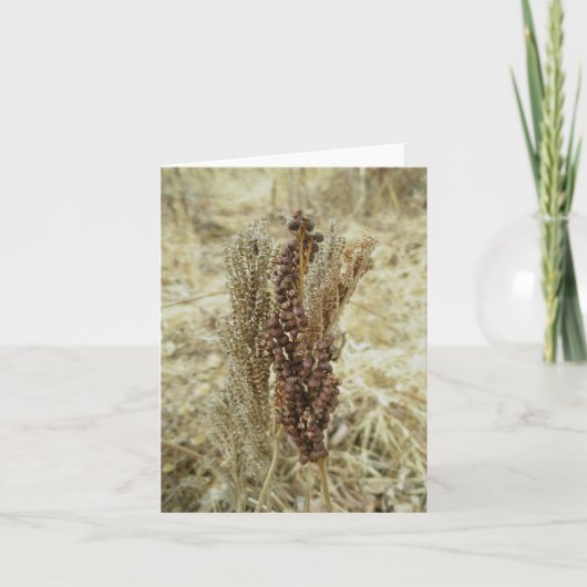 Dry Fern Note Kaart (Voorkant)