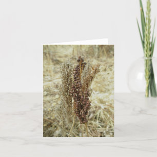Dry Fern Note Kaart