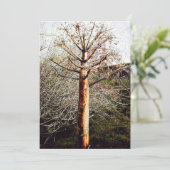 Dry Ferula Plant Feestdagenkaart (Staand voorkant)