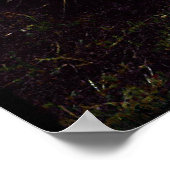 Dry Ferula Plant in Tadzjikistan Poster (Hoek)