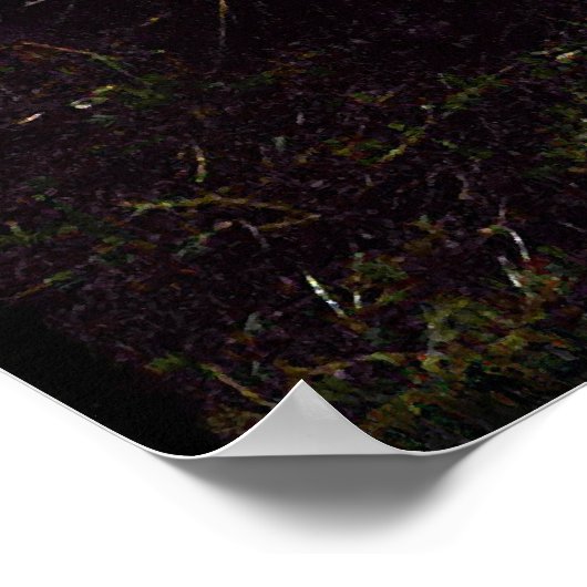 Dry Ferula Plant in Tadzjikistan Poster (Hoek)