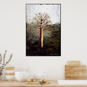 Dry Ferula Plant in Tadzjikistan Poster (Keuken)