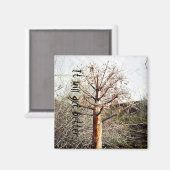 Dry Ferula Plant Magneet (Voorkant / Achterkant)