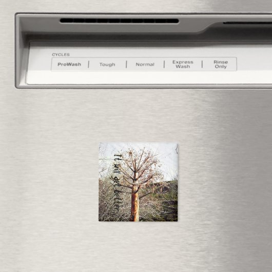 Dry Ferula Plant Magneet (Insitu (Vaatwasser))