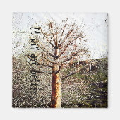 Dry Ferula Plant Magneet (Voorkant)