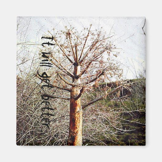 Dry Ferula Plant Magneet (Voorkant)