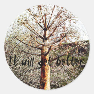 Dry Ferula Plant Ronde Sticker