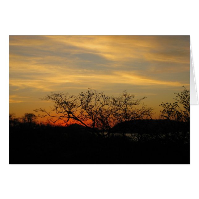 Dry Forest Sunset (Voorkant Horizontaal)