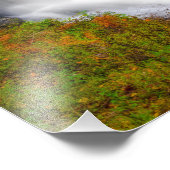 Dry Herfsten North Carolina Foto Afdruk (Hoek)