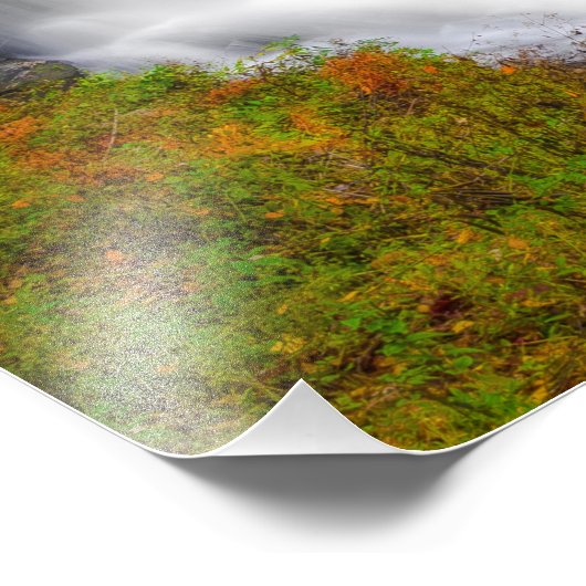 Dry Herfsten North Carolina Foto Afdruk (Hoek)