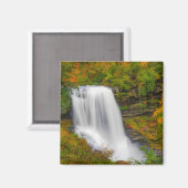 Dry Herfsten North Carolina Magneet (Voorkant / Achterkant)