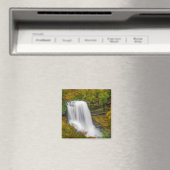 Dry Herfsten North Carolina Magneet (Insitu (Vaatwasser))