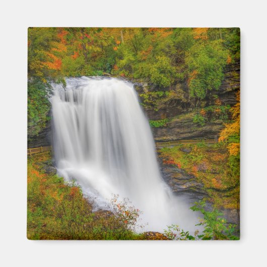 Dry Herfsten North Carolina Magneet (Voorkant)