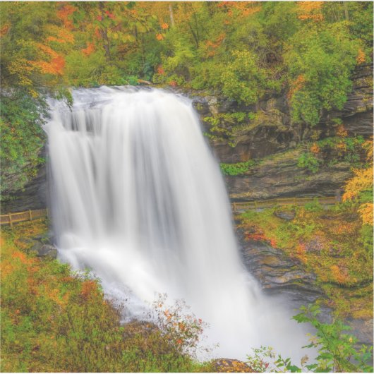 Dry Herfsten North Carolina Sticker (Voorkant)